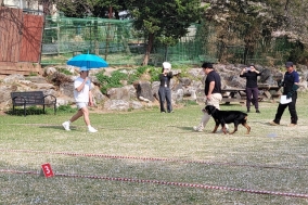안성시, 슬기로운 맹견 반려생활, 안전관리는 필수