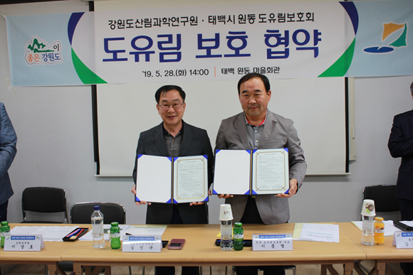 12-1.태백 원동 도유림보호협약 체결 (1).jpg