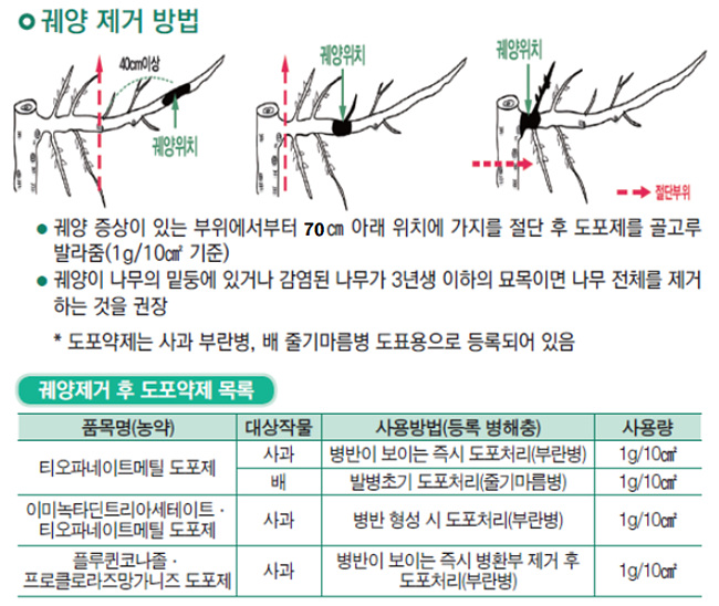 03-1 궤양 제거방법.jpg