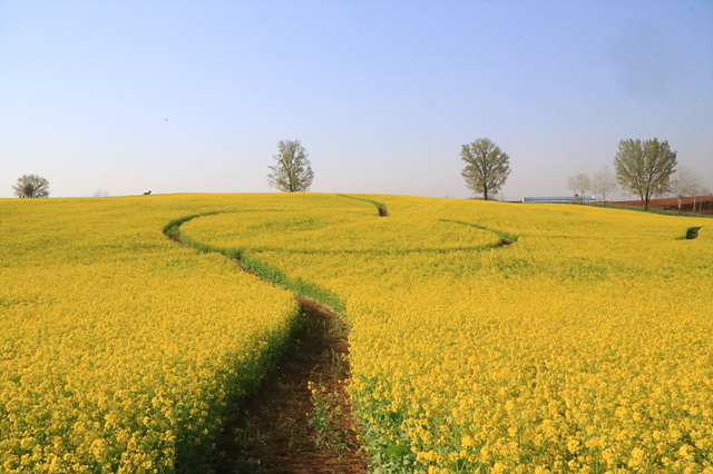 3. 팜랜드(봄).jpg