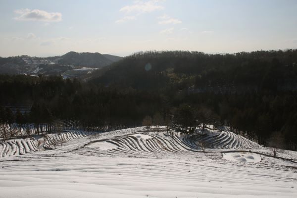143A4180.JPG 크기조정.JPG