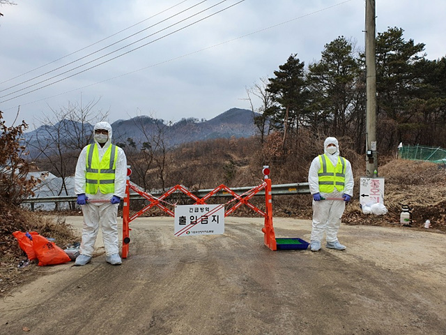 03-1 통제중인 원남면 종오리 농장 입구.jpg