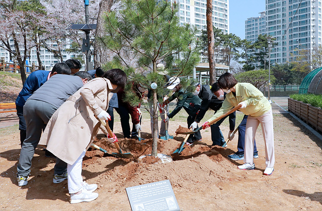 2. 정이품송 시범식재 (2).jpg