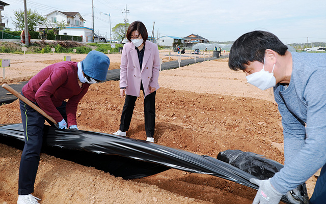 2. 도시농업 공공텃밭 개장(현수동) (1).jpg