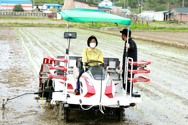 1. 벼 드문모심기 시연회 (1).jpg