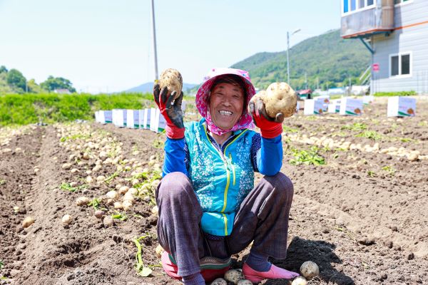 5월 13일, 해풍 맞아 영양만점…~-보성군 회천면 (2).JPG조정.JPG