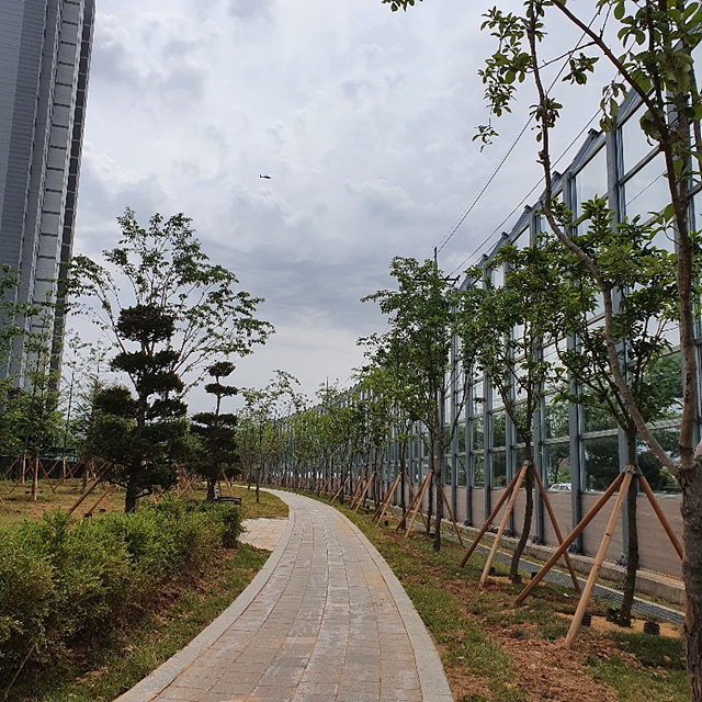 4. 미세먼지 차단 숲 조성 (1).jpg