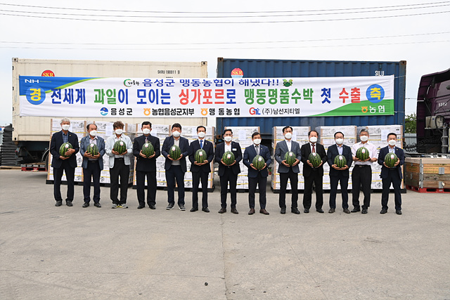01-3 다올찬 맹동수박 싱가포르 첫 수출길.jpg