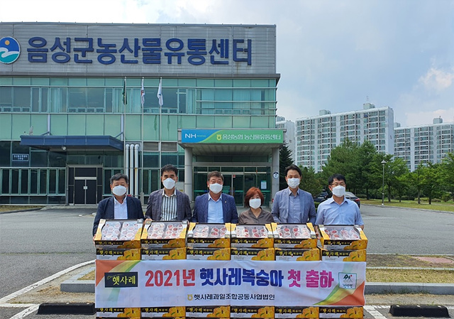 06-1 햇사레 복숭아 첫 출하.jpg
