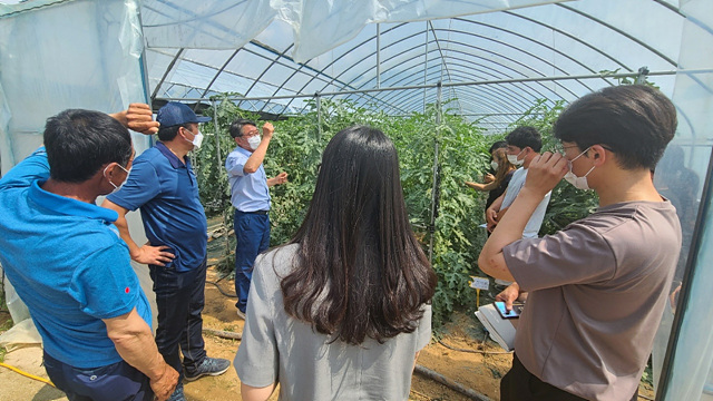 02-1 중소형 수박 수직재배 시범사업 현장평가회.jpg