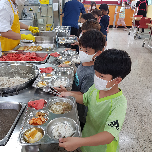 05-1 7월 공급한 수박 사진.jpg