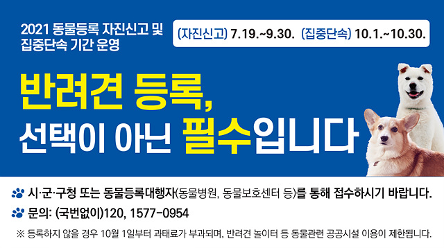 2. 동물등록 자진신고기간 운영.jpg
