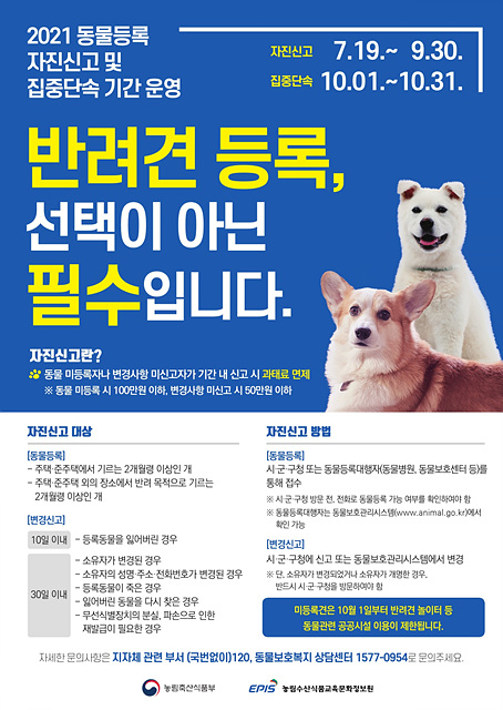 01-1 동물등록 자진신고 포스터 시안.jpg