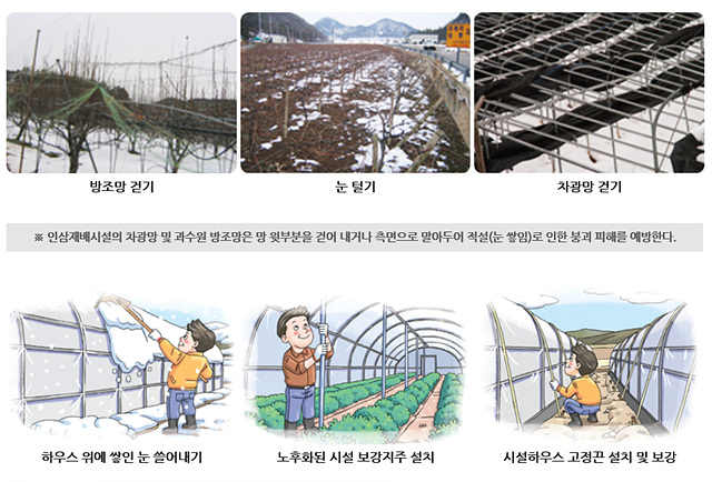 3. 한파 대비 농작물 관리에 주의해요.(겨울철 시설물 관리 요령).jpg