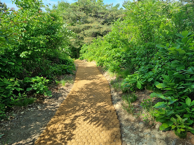 1. 음성군, 등산로 정비...안전한 산행 환경 조성(야자매트 설치 모습).jpg