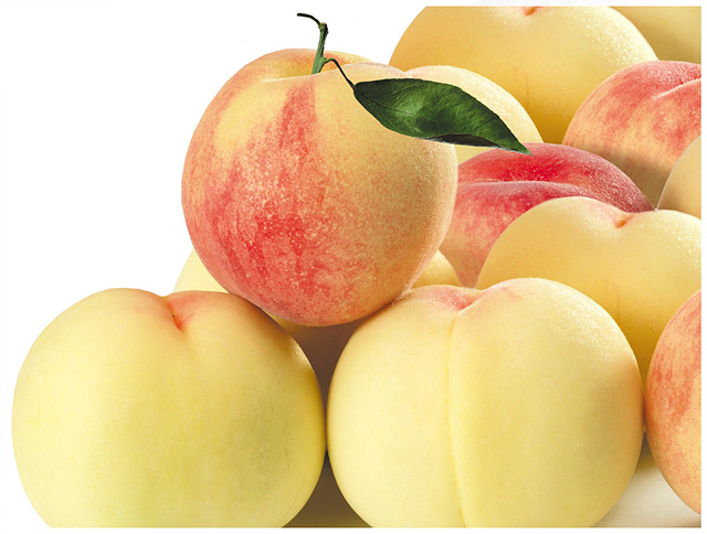 1. 음성의 명품작물 ‘음성명작’을 소개합니다(복숭아사진).jpg