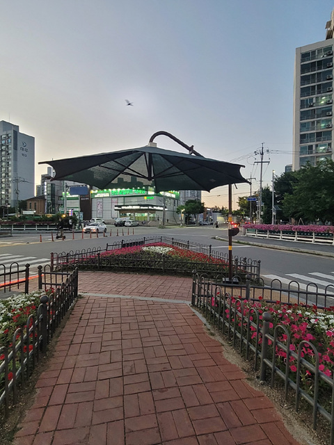 2. 안성시 폭염 대응 총력1-고정형그늘막.jpg