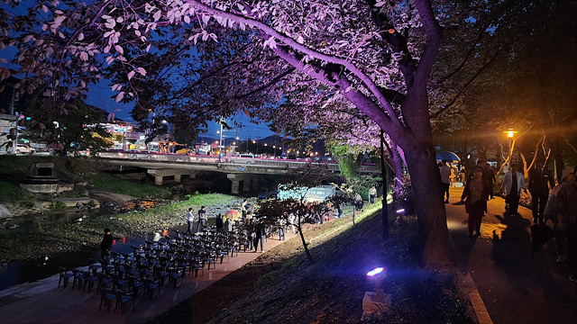 하남시, 산곡천 벚꽃길 경관조명 점등식 개최(2).jpg