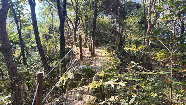 04-올 가을엔 황학산 싸리산 양자산에서 건강한 안전 산행을 싸리산 정비2.jpg