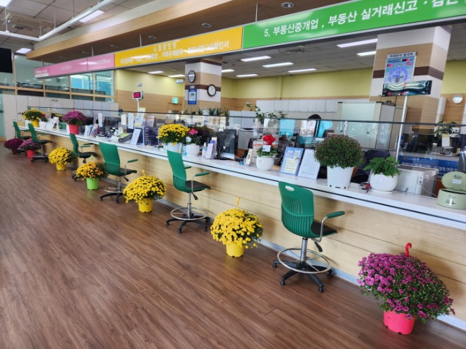 7-1.종합민원실 국화 향기 가득 - 복사본.jpg