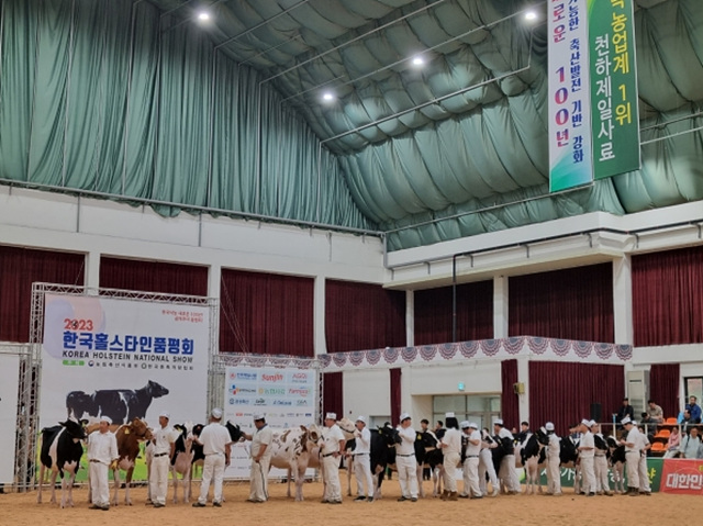 01-여주시 축산농가 한국홀스타인품평회 13개부문 수상.jpg