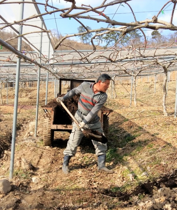 [크기변환]과일산업대전- 최우수상 박창현-참다래 재배.jpg