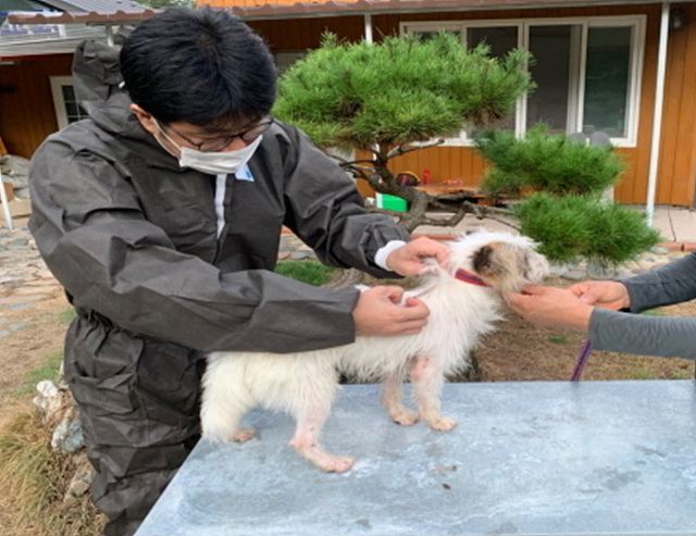 01-2024년 춘계 광견병 백신 무료접종 실시1.jpg