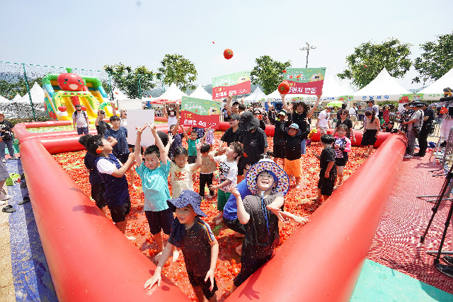 토마토 풀장.jpg