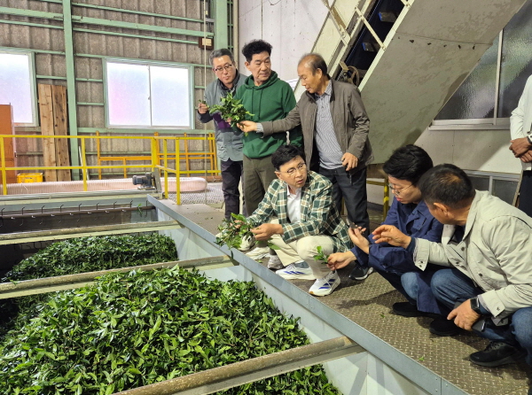 [크기변환]1-1. 보성군, 일본 시즈오카 벤치마킹 통해 ‘K-TEA 보성말차’ 글로벌 성장 시동_ 시즈오카현립 차업연구센터에서 스마트 가공·품질 관리 시스템을 확인하고 있다.jpg