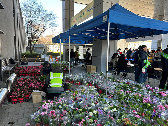 2-3. 수지구 나무 나누어주기 행사 모습.jpg