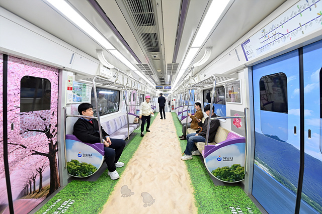 (사진2)발밑엔 한강모랫길, 머리 위엔 벚꽃비… 일상을 파고든 하남의 봄 ‘눈길’.jpg