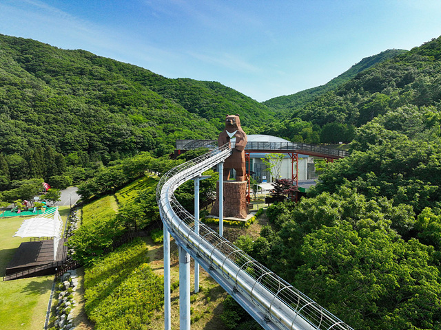 1-2. 보성군, 제암산자연휴양림 뜨거운 여름에도 시원하다_제암산자연휴양림의 숲속을 가로지르는 곰썰매.jpg