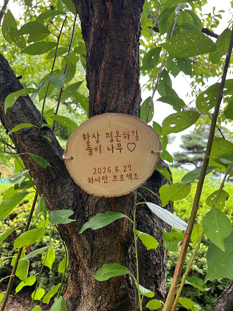 [전달이미지] 하남문화재단, 8월 21일부터 ‘하나반 프로젝트’ 반려나무 입양 본격 시작 (2).jpg